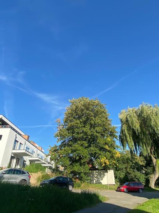 Zentral & Chic - Apartment Harzperle 2 Bad Harzburg Zewnętrze zdjęcie